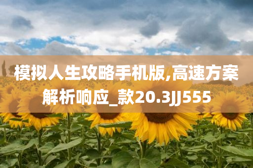 模拟人生攻略手机版,高速方案解析响应_款20.3JJ555