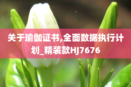 关于瑜伽证书,全面数据执行计划_精装款HJ7676