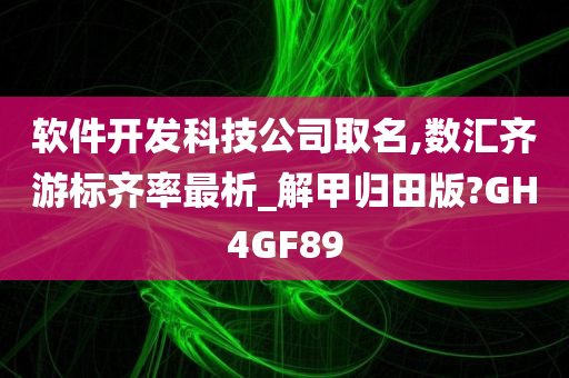 软件开发科技公司取名,数汇齐游标齐率最析_解甲归田版?GH4GF89