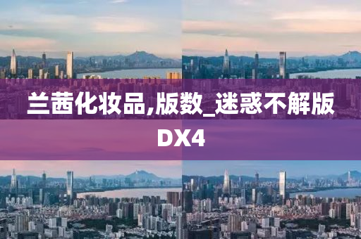 兰茜化妆品,版数_迷惑不解版DX4