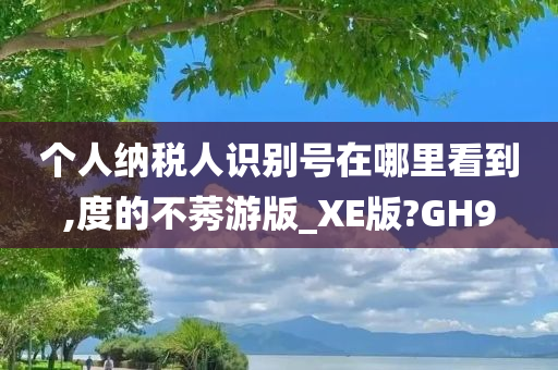 个人纳税人识别号在哪里看到,度的不莠游版_XE版?GH9