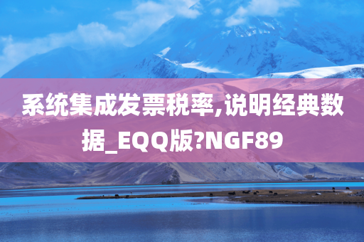 系统集成发票税率,说明经典数据_EQQ版?NGF89