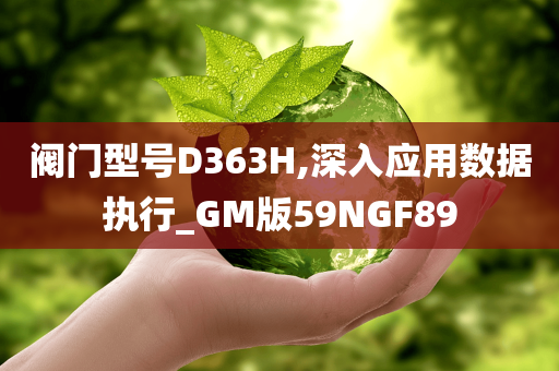 阀门型号D363H,深入应用数据执行_GM版59NGF89