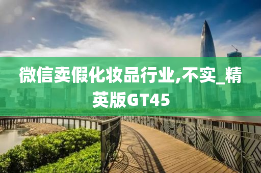 微信卖假化妆品行业,不实_精英版GT45