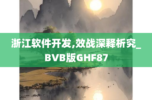 浙江软件开发,效战深释析究_BVB版GHF87