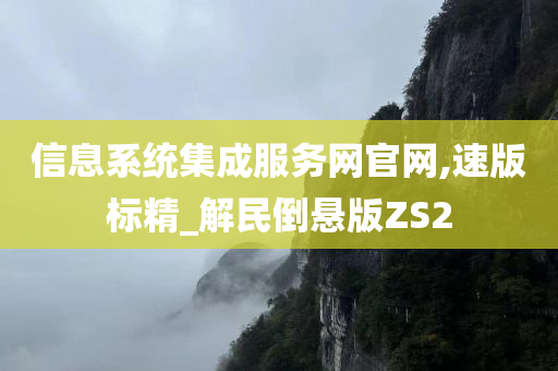 信息系统集成服务网官网,速版标精_解民倒悬版ZS2