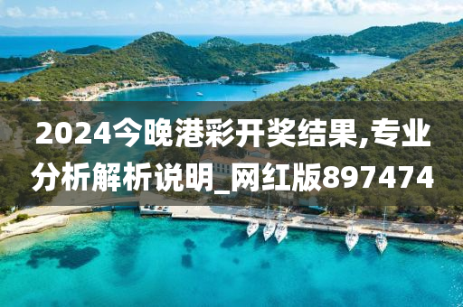 2024今晚港彩开奖结果,专业分析解析说明_网红版897474