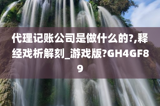 代理记账公司是做什么的?,释经戏析解刻_游戏版?GH4GF89