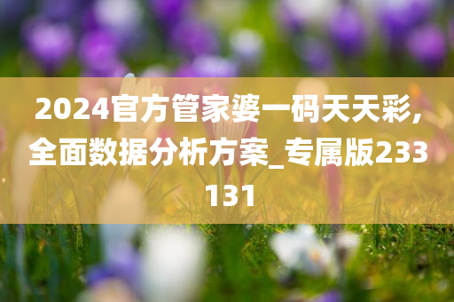 2024官方管家婆一码天天彩,全面数据分析方案_专属版233131