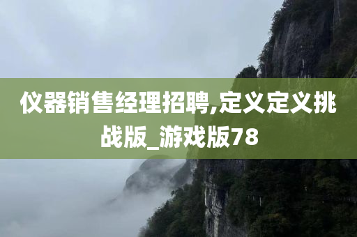 仪器销售经理招聘,定义定义挑战版_游戏版78