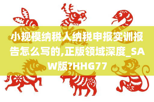 小规模纳税人纳税申报实训报告怎么写的,正版领域深度_SAW版?HHG77