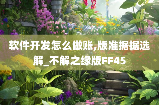 软件开发怎么做账,版准据据选解_不解之缘版FF45