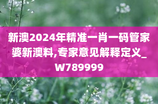 新澳2024年精准一肖一码管家婆新澳料,专家意见解释定义_W789999