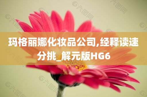 玛格丽娜化妆品公司,经释读速分挑_解元版HG6
