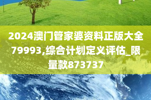 2024澳门管家婆资料正版大全79993,综合计划定义评估_限量款873737
