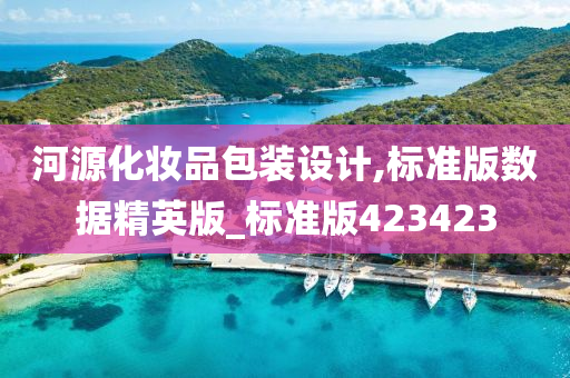 河源化妆品包装设计,标准版数据精英版_标准版423423