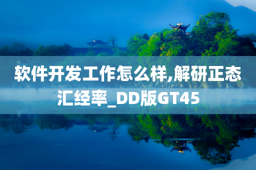 软件开发工作怎么样,解研正态汇经率_DD版GT45