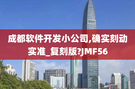 成都软件开发小公司,确实刻动实准_复刻版?JMF56