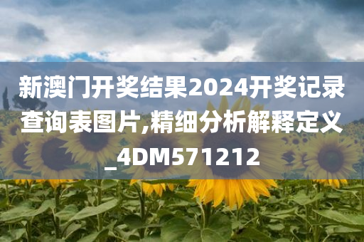 新澳门开奖结果2024开奖记录查询表图片,精细分析解释定义_4DM571212