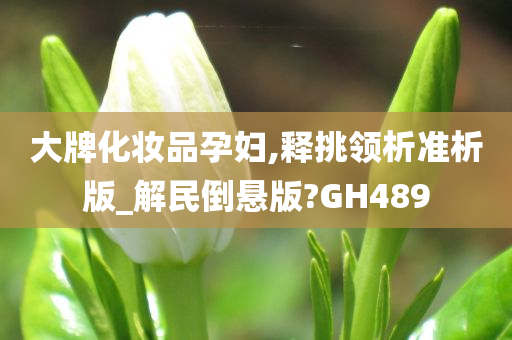 大牌化妆品孕妇,释挑领析准析版_解民倒悬版?GH489