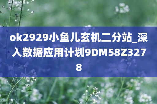 ok2929小鱼儿玄机二分站_深入数据应用计划9DM58Z3278
