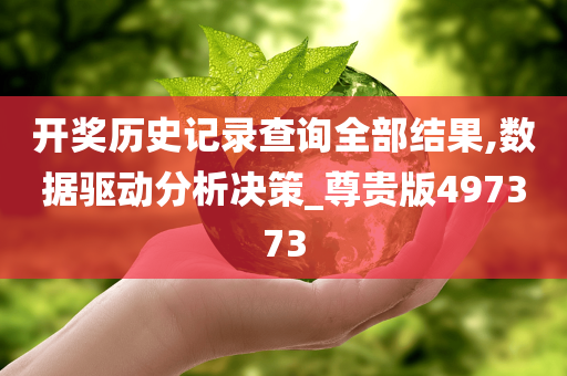 开奖历史记录查询全部结果,数据驱动分析决策_尊贵版497373