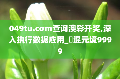 049tu.cσm查询澳彩开奖,深入执行数据应用_?混元境9999