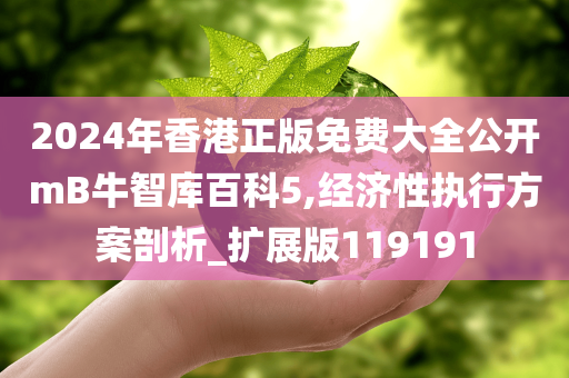 2024年香港正版免费大全公开mB牛智库百科5,经济性执行方案剖析_扩展版119191