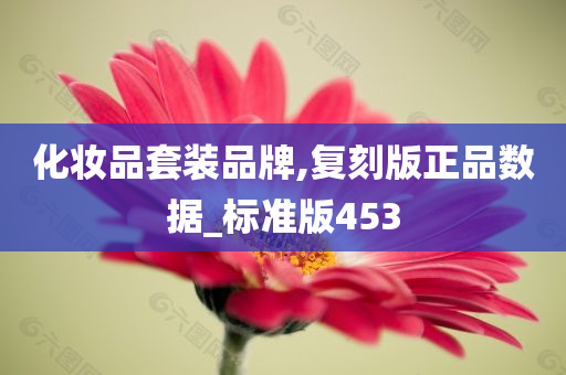 化妆品套装品牌,复刻版正品数据_标准版453