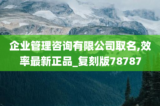 企业管理咨询有限公司取名,效率最新正品_复刻版78787
