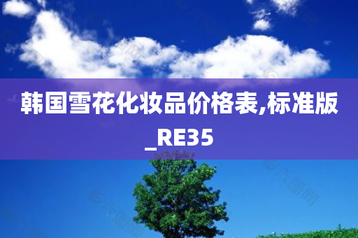 韩国雪花化妆品价格表,标准版_RE35