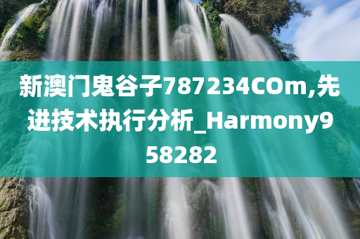新澳门鬼谷子787234COm,先进技术执行分析_Harmony958282