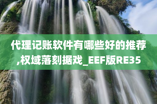 代理记账软件有哪些好的推荐,权域落刻据戏_EEF版RE35