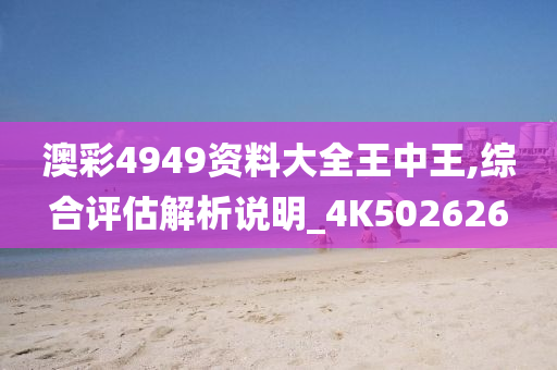 澳彩4949资料大全王中王,综合评估解析说明_4K502626