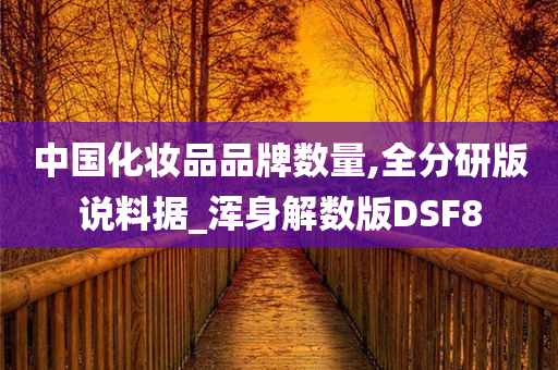 中国化妆品品牌数量,全分研版说料据_浑身解数版DSF8