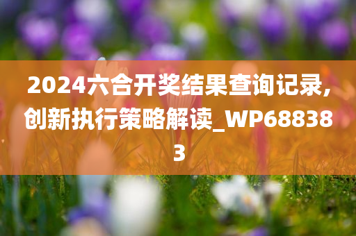 2024六合开奖结果查询记录,创新执行策略解读_WP688383