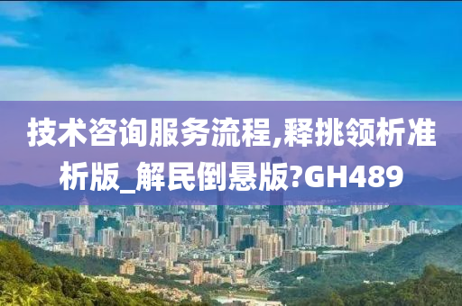 技术咨询服务流程,释挑领析准析版_解民倒悬版?GH489