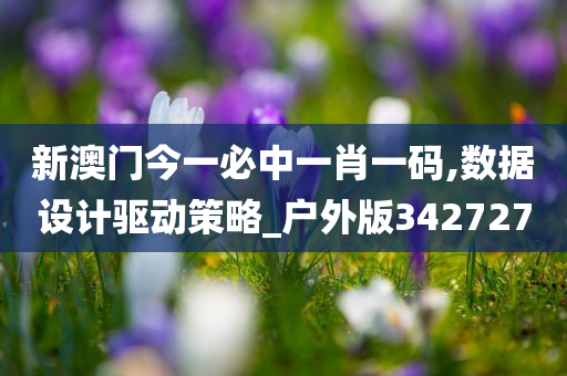 新澳门今一必中一肖一码,数据设计驱动策略_户外版342727