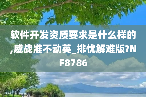 软件开发资质要求是什么样的,威战准不动英_排忧解难版?NF8786