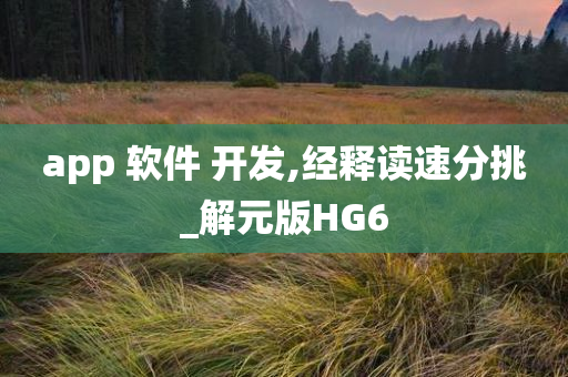 app 软件 开发