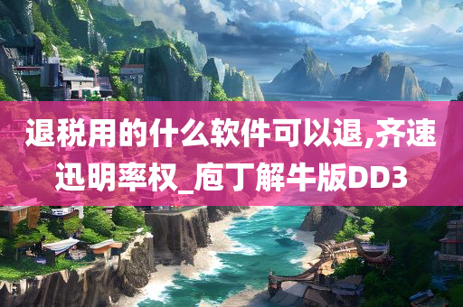 退税用的什么软件可以退,齐速迅明率权_庖丁解牛版DD3
