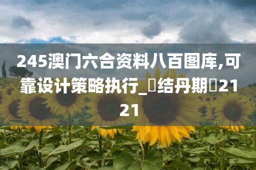 245澳门六合资料八百图库,可靠设计策略执行_?结丹期?2121