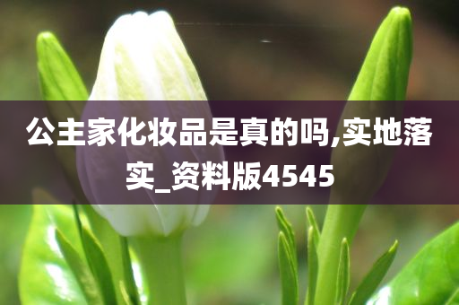 公主家化妆今晚必出三肖2025_2025新澳门精准免费提供·精确判断品是真的吗,实地落实_资料版4545