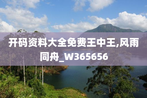 开码资料大全免费王中王,风雨同舟_W365656