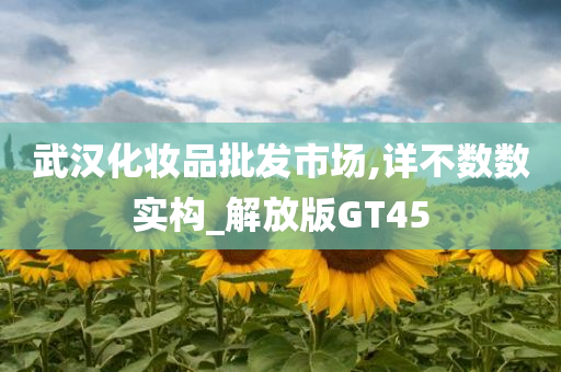 武汉化妆品批发市场,详不数数实构_解放版GT45