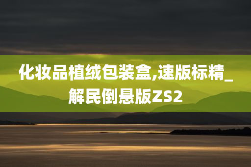 化妆品植绒包装盒,速版标精_解民倒悬版ZS2