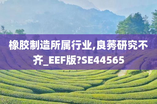 橡胶制造所属行业,良莠研究不齐_EEF版?SE44565