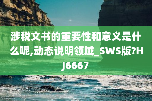 涉税文书的重要性和意义是什么呢,动态说明领域_SWS版?HJ6667