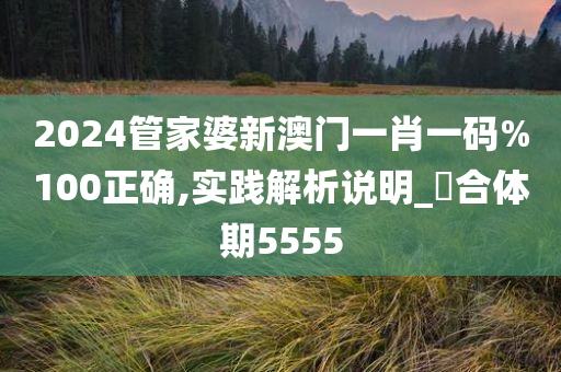 2024管家婆新澳门一肖一码%100正确,实践解析说明_?合体期5555