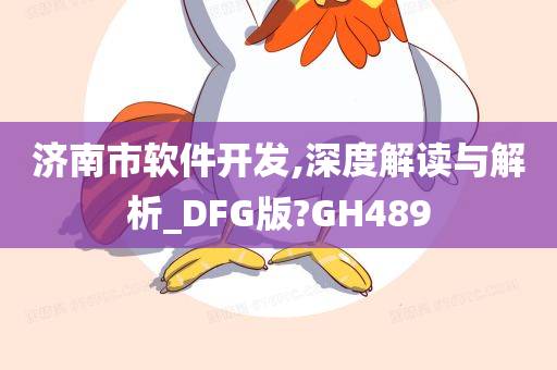 济南市软件开发,深度解读与解析_DFG版?GH489